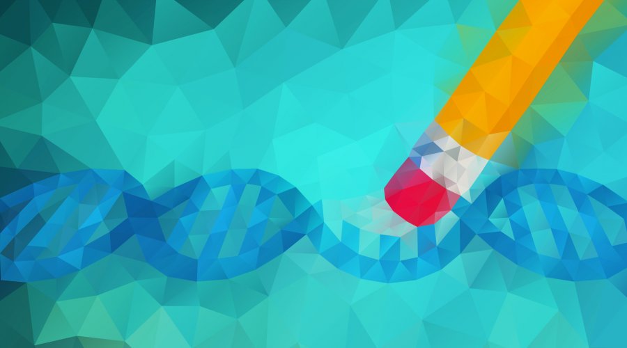 Genome Editing